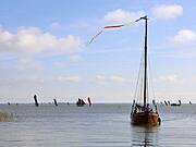 Althäger Fischerregatta 2019