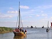 Althäger Fischerregatta 2019