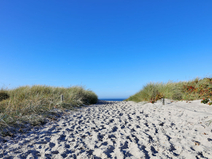   Ahrenshoop  Strandübergang 3