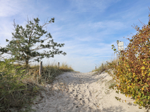   Ahrenshoop  Strandübergang 5