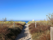   Ahrenshoop  Strandübergang 9
