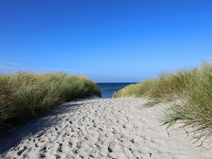   Ahrenshoop  Strandübergang 1