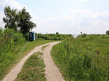 Bodden - Weg zur Badestelle Born a. Darß im Sommer