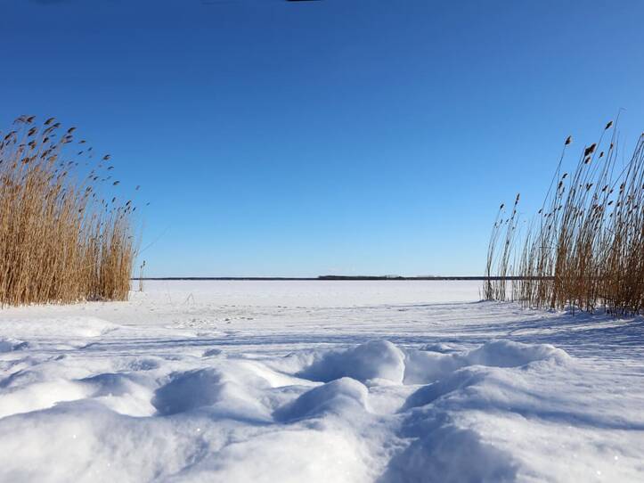 Born a. Darß - Bodden im Winter