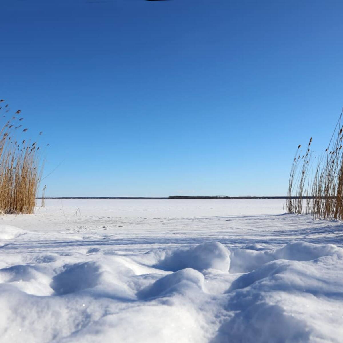 Born a. Darß - Bodden im Winter