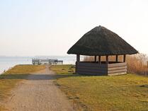 Bodden - kleiner Hafen mit Seebrücke / Born a. Darß