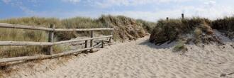 Rundwanderweg Darßer Ort - Weg zur Dünenlandschaft
