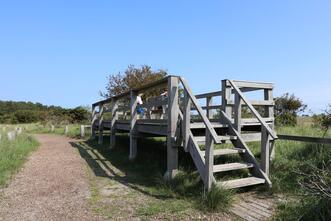 Rundwanderweg Darßer Ort - Aussichtsplattform »Hirschplattform«