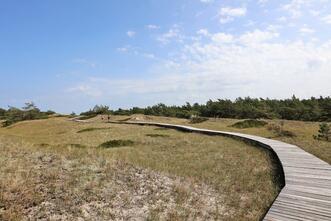 Rundwanderweg Darßer Ort - Holzbohlenweg