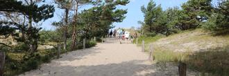 Rundwanderweg Darßer Ort - Weg zum Ostseestrand