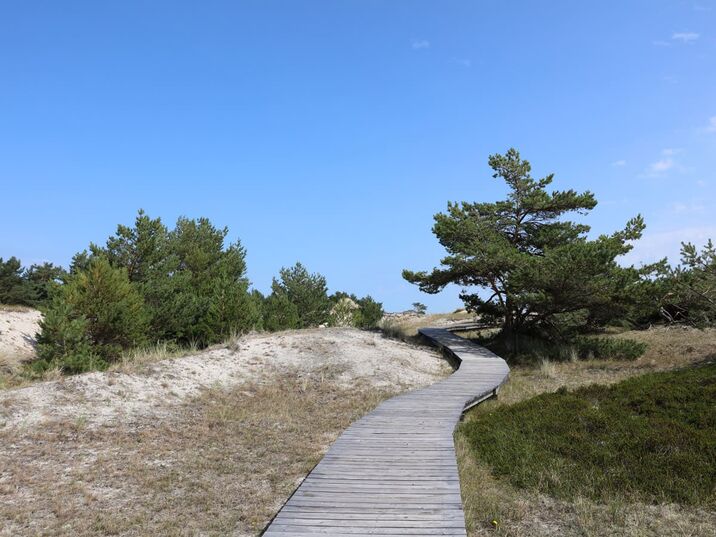 Wandern am Darßer Ort