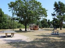 Spielplatz an der Festwiese in Born a. Darß