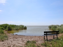   Born a. Darß  Pferde-Badestelle