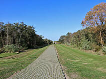 Strandübergänge Darßer Weststrand - Strandübergang