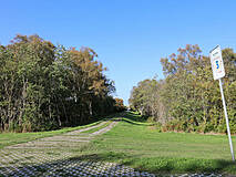 Strandübergänge Darßer Weststrand - Strandübergang
