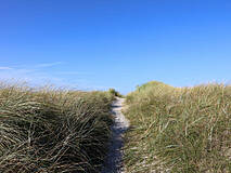 Strandübergänge Darßer Weststrand - Strandübergang