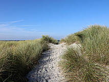 Strandübergänge Darßer Weststrand - Strandübergang