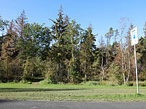 Strandübergänge Darßer Weststrand - Strandübergang