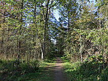 Strandübergänge Darßer Weststrand - Strandübergang