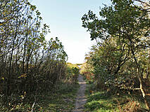 Strandübergänge Darßer Weststrand - Strandübergang