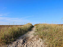 Strandübergänge Darßer Weststrand - Strandübergang