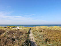 Strandübergänge Darßer Weststrand - Strandübergang