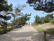  Weststrand „Leuchtturmweg“ Born a. Darß  Strandübergang 12