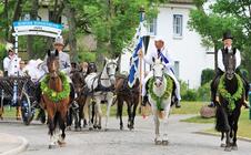 Historischer Festumzug