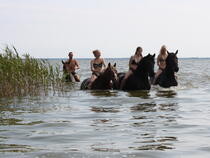 Reiterhof Andreas Völkner Ahrenshoop / Althagen