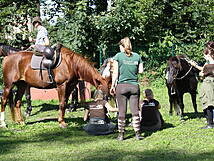 Reiterhof Andreas Völkner Ahrenshoop / Althagen