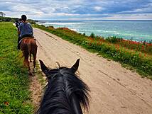 Reiterhof Andreas Völkner Ahrenshoop / Althagen