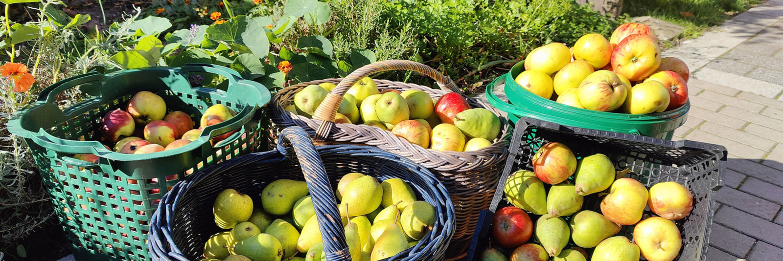 Kattenkes Goorn Wustrow