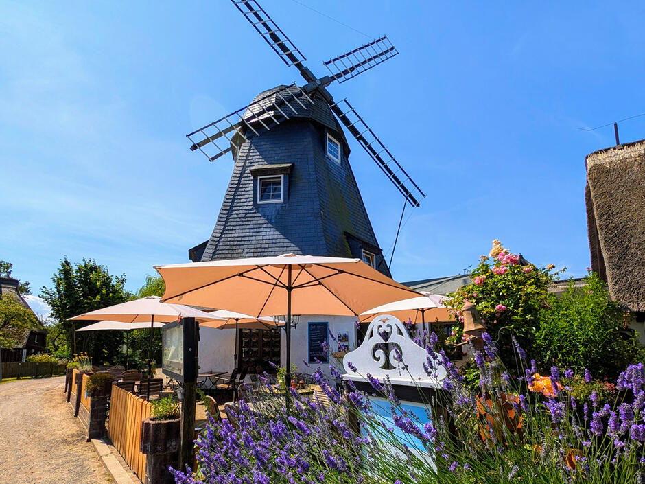 · frisch · regional · hausgemacht · Willkommen in der Mühle Born