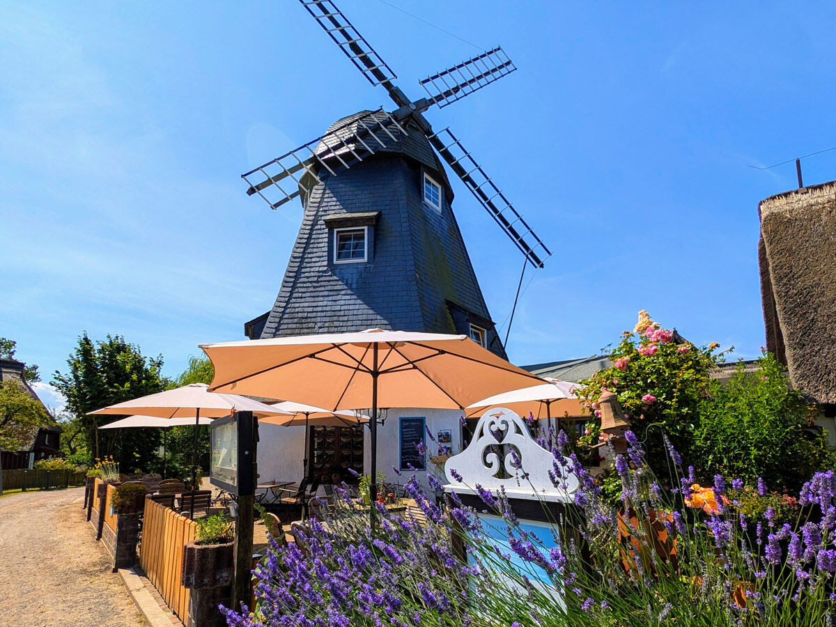 · frisch · regional · hausgemacht · Willkommen in der Mühle Born