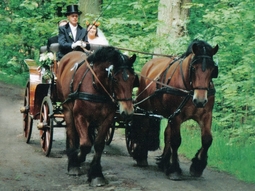 Kutsch- und Kremserfahrten Ralf-Dieter Bergmann Ostseebad Prerow