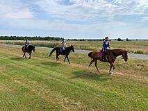 Reittouristik Angelika Bergmann Prerow - Ausritte