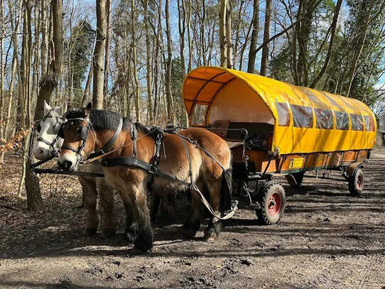 Linienfahrt vom Leuchtturm Darßer Ort nach Prerow