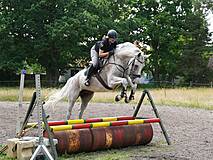 Reiterhof in Prerow – Reittouristik Angelika Bergmann Prerow – Springstunde