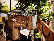 Kattenkes Goorn Wustrow