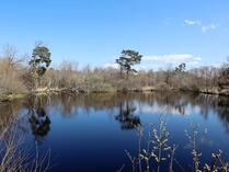 (33) Geschichtspfad Dierhagen - Torfstiche