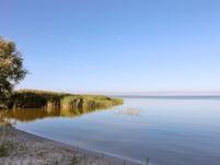 Badestelle am Hafen in Dierhagen