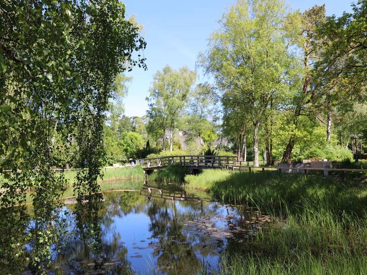 Kurpark Dierhagen – Brücke