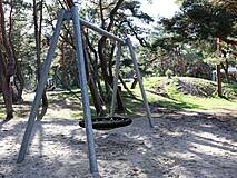 Spielplatz im Küstenwald Dierhagen - Nestschaukel