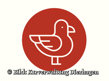   Dierhagen Strand Strandübergang 15a