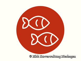   Dierhagen Neuhaus Strandübergang 16a