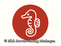   Dierhagen Neuhaus Strandübergang 19