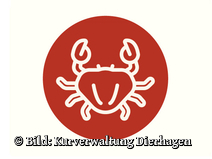   Dierhagen Ost Strandübergang 2