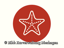   Dierhagen Neuhaus Strandübergang 23