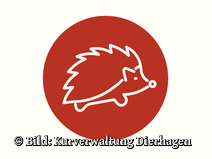   Dierhagen Neuhaus Strandübergang 24