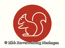   Dierhagen Neuhaus Strandübergang 25